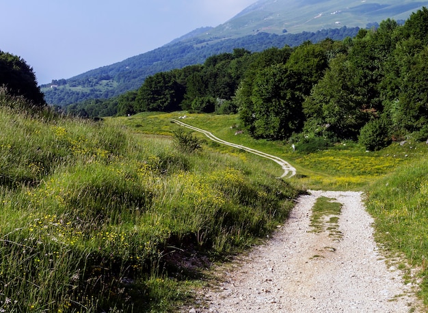 Foto sentiero di montagna alle due pozze a san zeno di montagna in provincia di verona