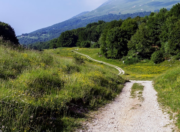 Mountain path at the Due Pozze in San Zeno di Montagna in the province of Verona