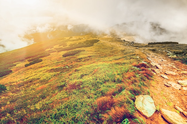 사진 carpathians, 우크라이나에서 산 경로입니다.