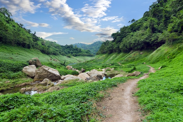 Khun Dan Dam、Nakohn Nayokタイの近くの国立公園の山道