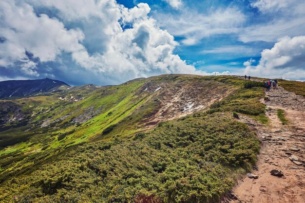 咲くシャクナゲの谷を通る山道