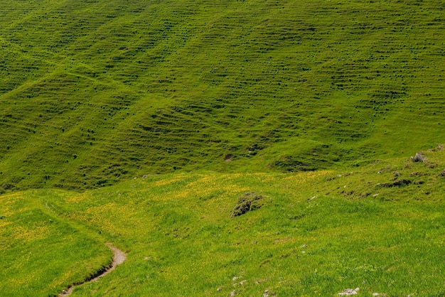 Mountain path through the pastures