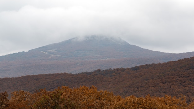 Mountain peak is covered with autumn forest in fog