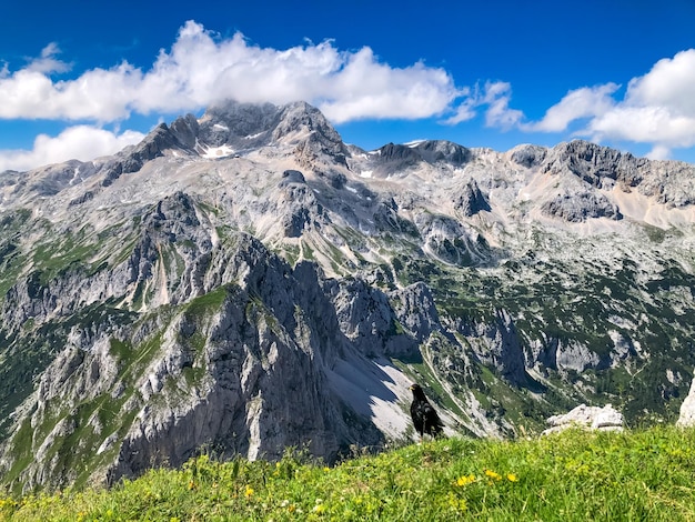 Mountain Peak Nature Hiking Triglav