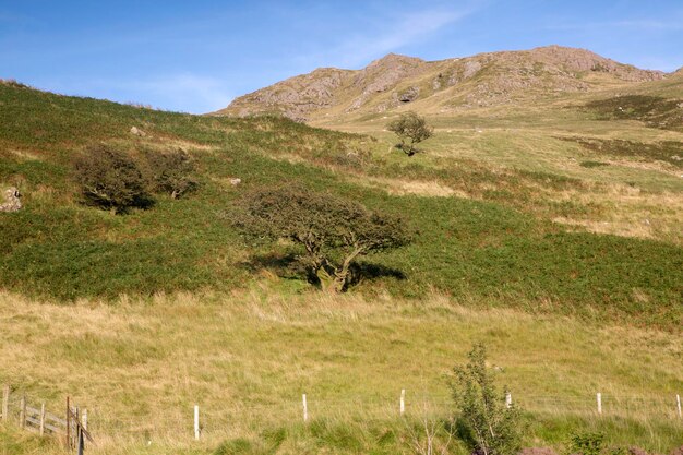 スノードニア、ウェールズ、英国の PenyPass 近くの山頂