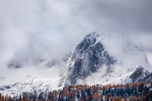 Photo mountain peak in snow and fog and yellow larch trees