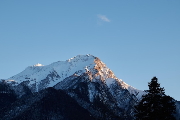 Mountain peak at sunset part of mountain is illuminated by rays of sun clear sky and coniferous forest below evening time