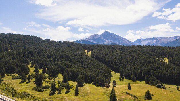 写真 山頂の景色 緑の谷 松の木と木と青い空の草原の景色 自然の美しさ 外の景色 ハイキングコンセプト 美しい場所 イタリア アルプス景色 雲と谷