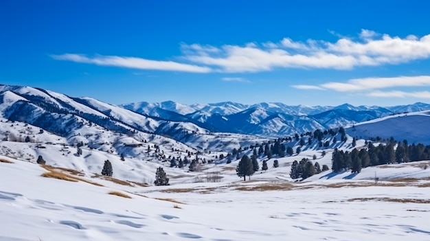 Mountain peaks in clouds caucasus dombay