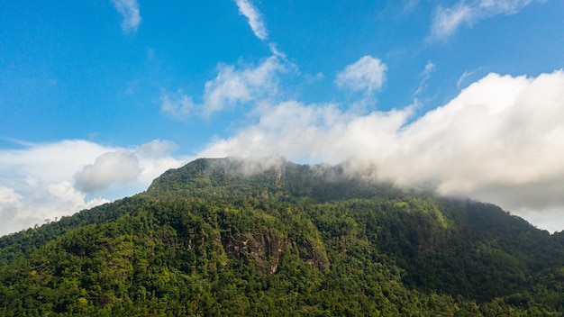 Mountain peaks covered with forest from above