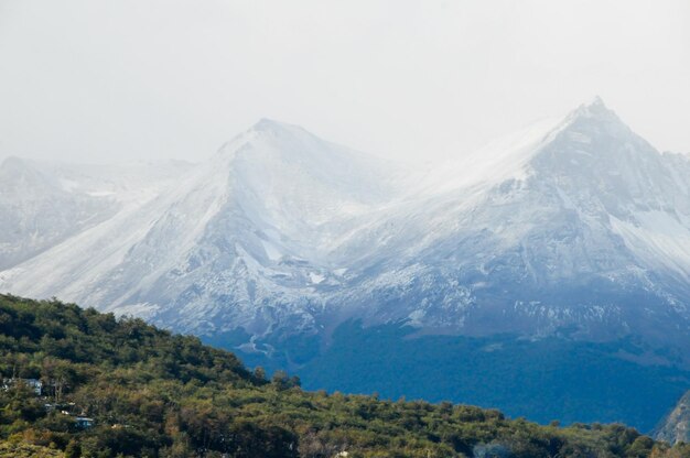 写真 雪に覆われた山頂、草や植生のある丘