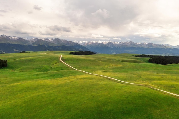 Mountain peaks and grassland are under white clouds