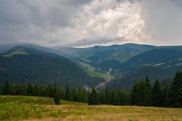 Picchi di montagna che dominano la valle e la foresta con tempo nuvoloso ucraina carpazi