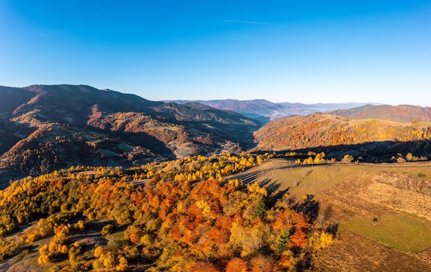 Mountain peaks with terracotta forests under bright sunlight