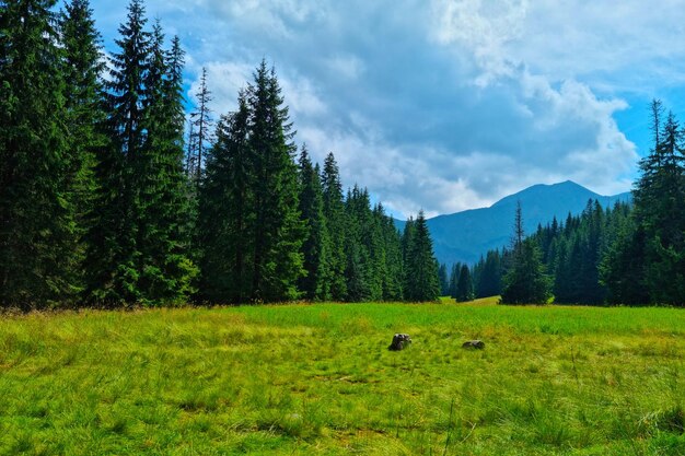 Mountain picturesque landscape Walking in the mountains in the summer and spring