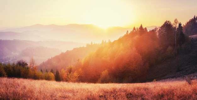 Photo mountain range in the carpathian mountains in the autumn season