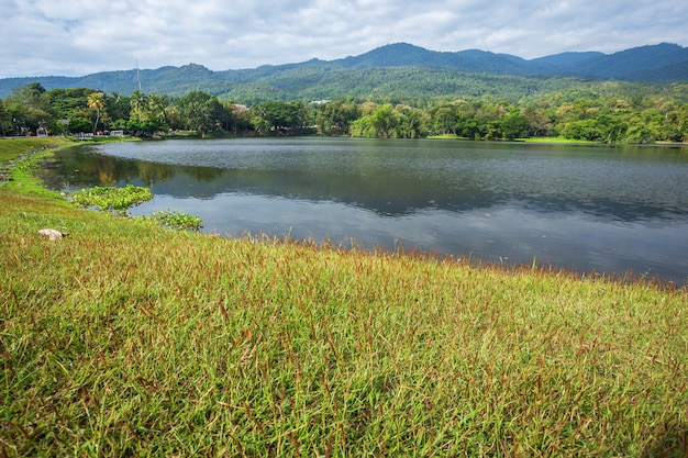 貯水池の青い空を背景に山脈の森