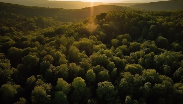 Mountain range growth panoramic view of nature generated by AI