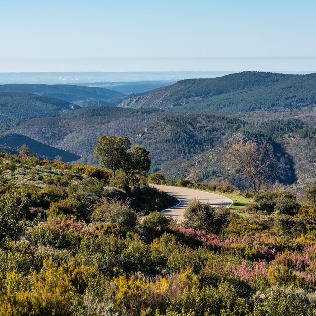 Photo mountain range and landscapes of the natural park of the northern highlands of guadalajara castilla la mancha