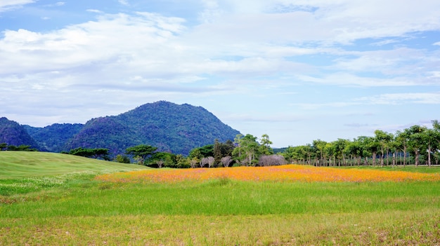 mountain range and meadow at Singha park Chiang rai, Thailand.