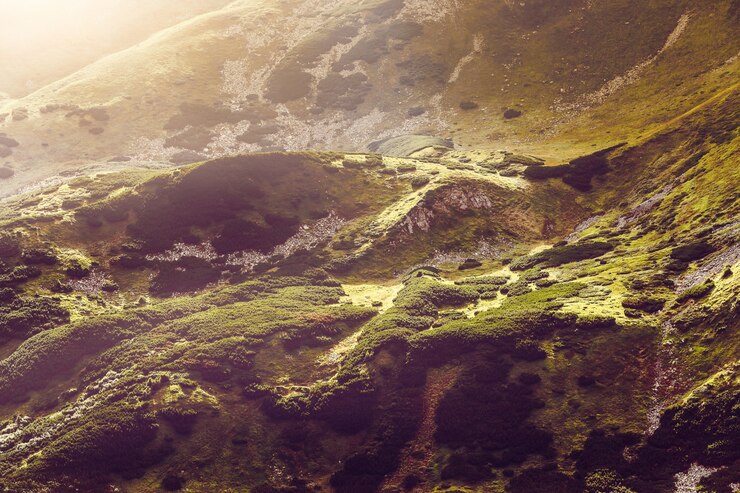 Photo mountain range  in summer