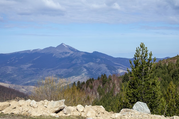 Photo a mountain range with a few trees and a mountain in the background