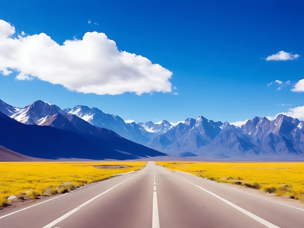 mountain range with long hiway road and long trees