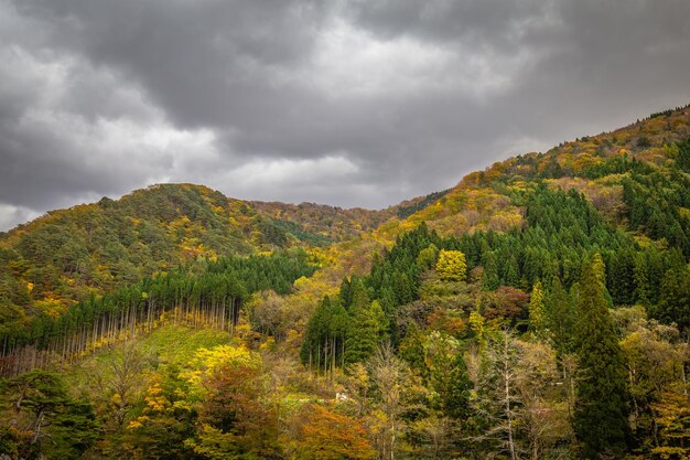 A mountain range with trees and a cloudy sky