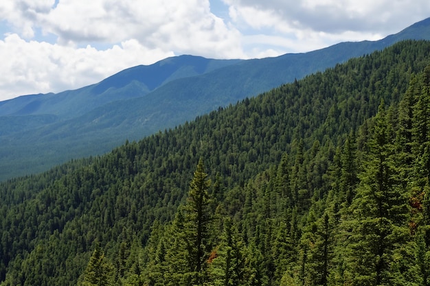 a mountain range with trees and a mountain in the background