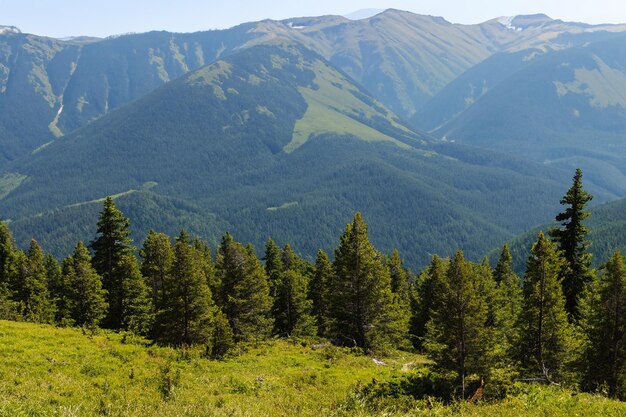 a mountain range with trees and a sign that says  the name of the mountain