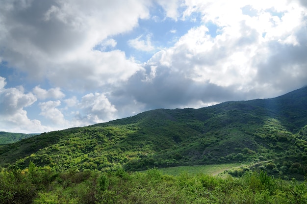 Mountain ranges and hills covered with forest, bushes and plants