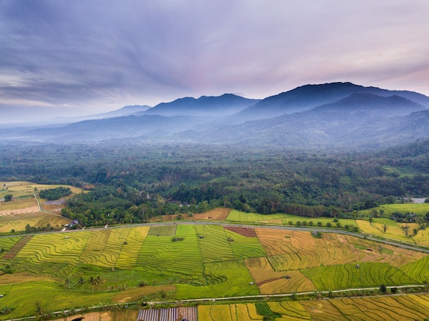 Mountain ranges and rice fields in misty morning