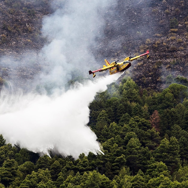 Foto salvataggio in montagna per incendi