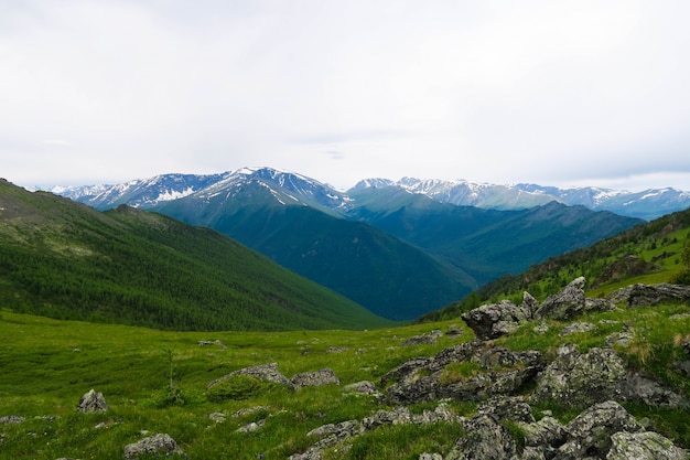 山の尾根の美しい景色。アルタイ山脈、ロシア