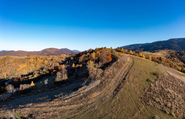 Mountain ridge with autumn yellowed trees at bright sunlight