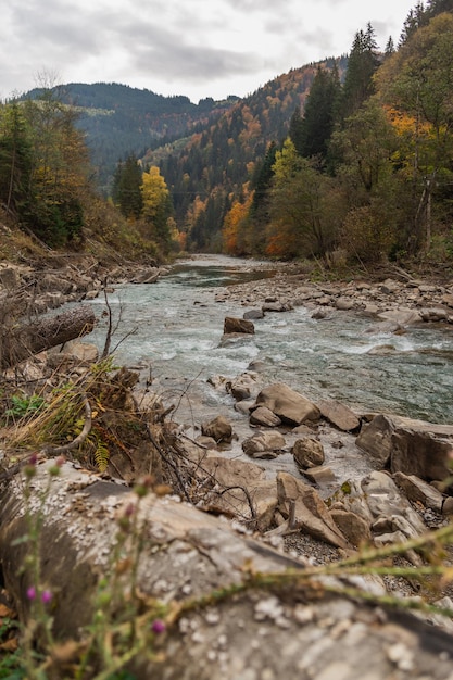 Mountain river among autumn forest moody image fall colors nature background