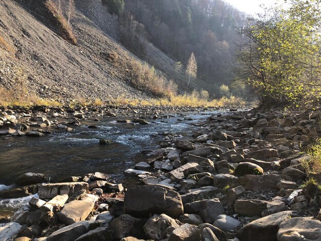 Mountain river in the autumn