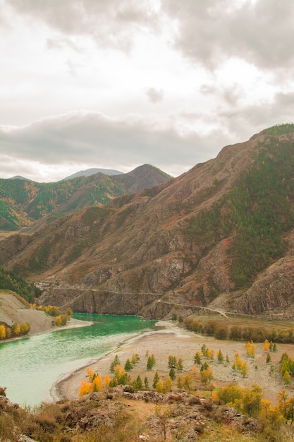 写真 高山山脈の間の山の川。