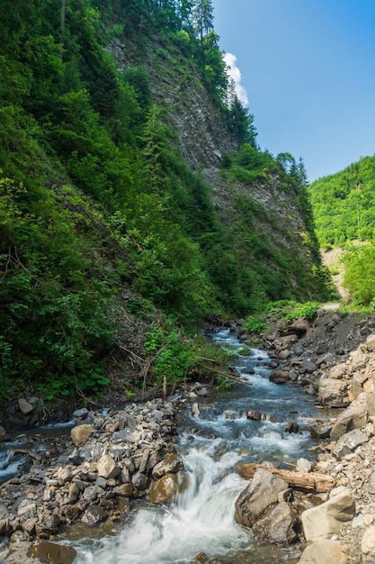 Mountain river in the Carpathian mountains Ukraine Summer beautiful landscape