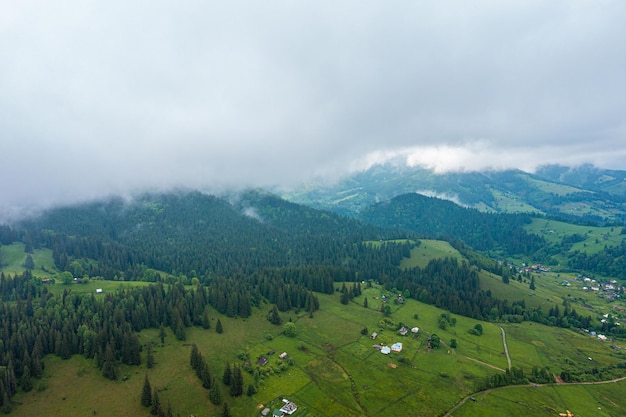 Mountain river floating through the green forest in the alps switzerland