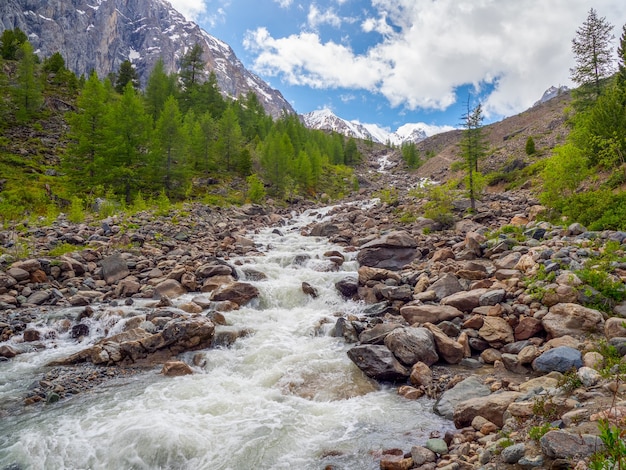 Горная река протекает через лес. Красивый альпийский пейзаж с лазурной водой в быстрой реке. Сила величественной природы высокогорья.