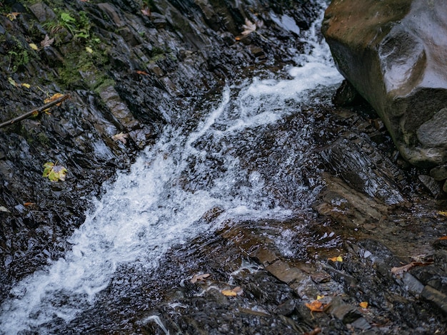 Mountain river flows over stones