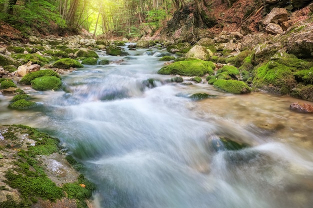 Mountain river in forest and mountain terrain. Crimea, the Grand Canyon. Nature composition.