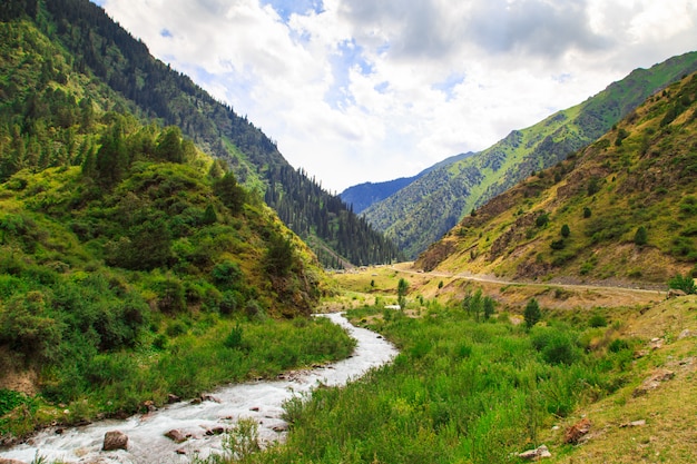 Mountain river among green mountains