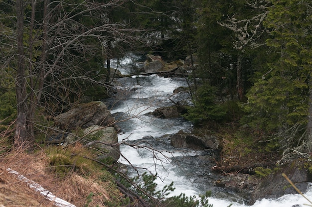 Mountain river in high Tatras, Poland