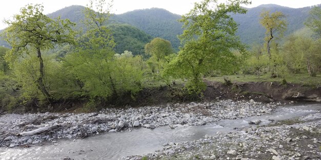 Mountain river landscape