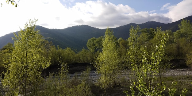 Mountain river landscapes