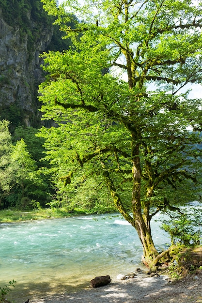 アブハジアの山々の山川