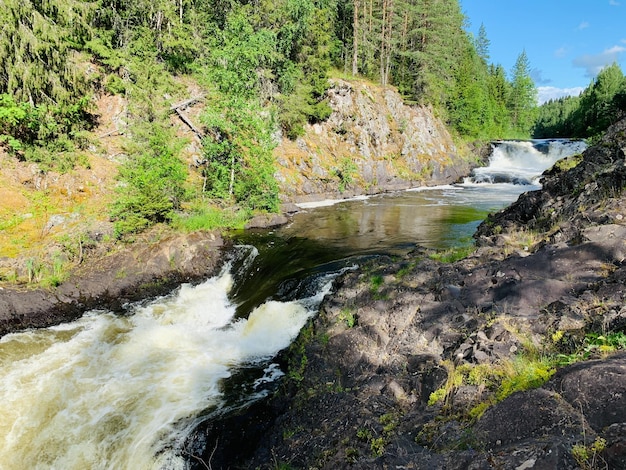 森の中の公園の石と山の中で国立保護区の澄んだ川の山川