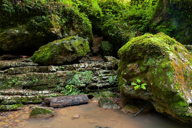 Mountain river Republic of Adygea